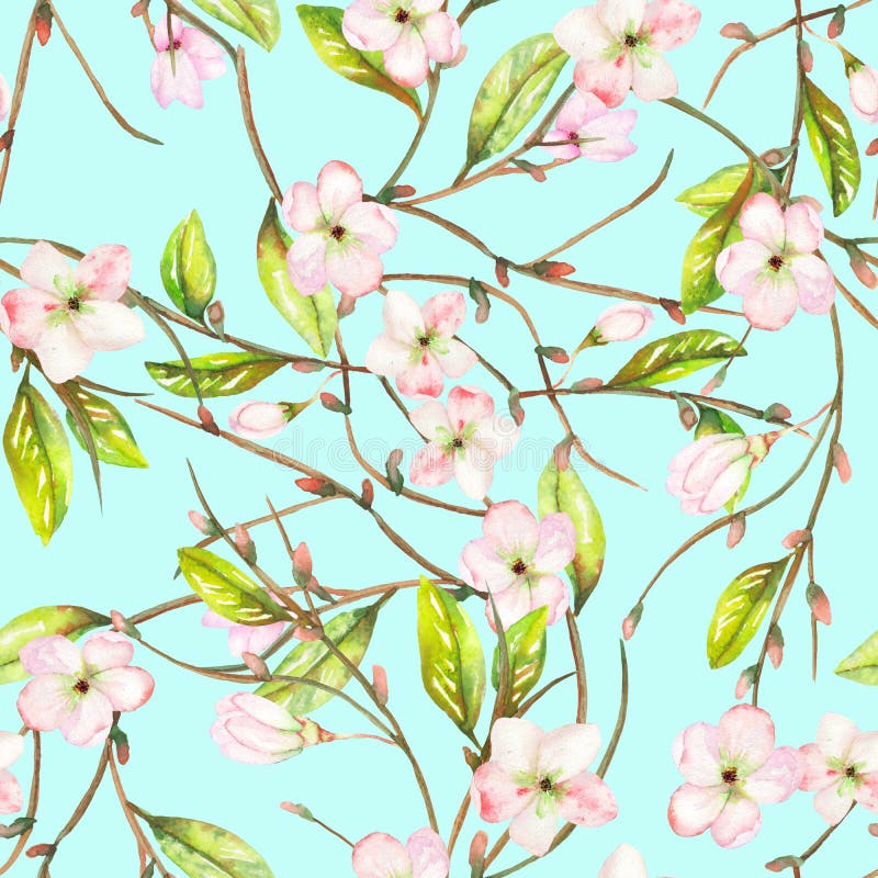 Um teste padrão floral sem emenda com um ornamento de um ramo de árvore da maçã com as flores do rosa macio e as folhas de flores ilustração stock Um teste padrão floral sem emenda com um ornamento de um ramo de árvore da maçã com as flores do rosa macio e as folhas de flores ilustração stock