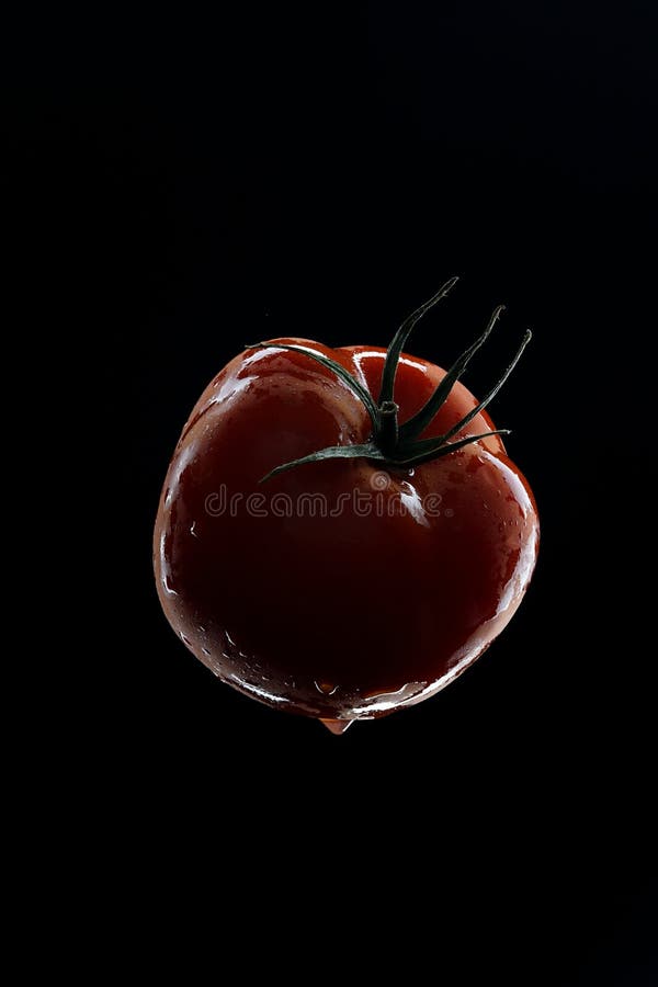 Um Tomate sobre Fundo Preto foto de stock royalty free