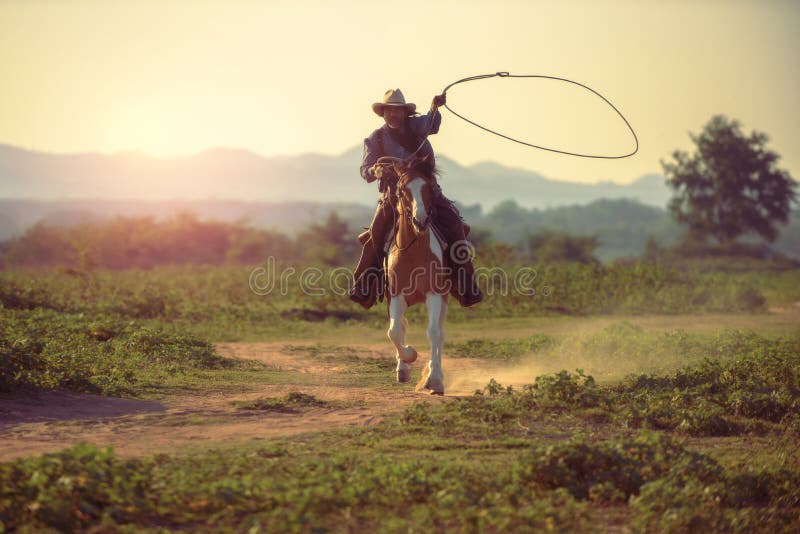 Fundo Cowboy Monta Uma Corda De Salto De Competição De Cavalo