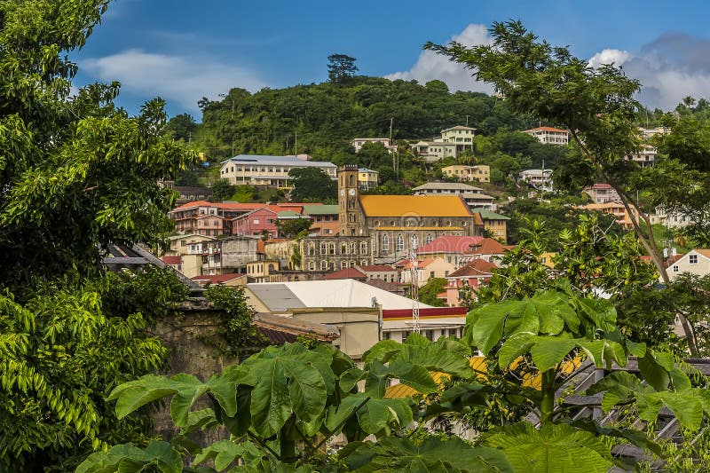 A glimpse through the foliage towards the buildings on the hill above St George in Grenada on a sunny day. A glimpse through the foliage towards the buildings on the hill above St George in Grenada on a sunny day