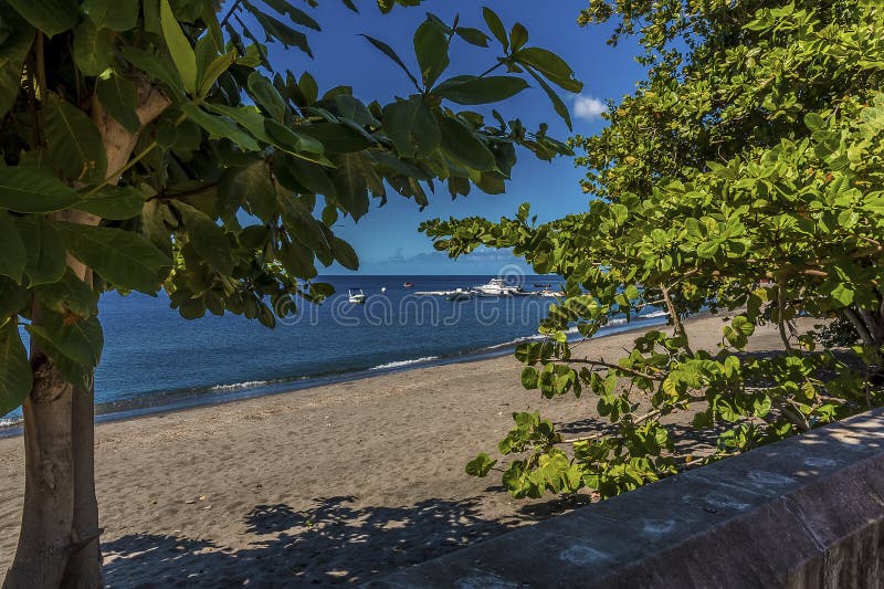 A glimpse through the foliage of the beach at Saint Pierre at the foot of the volcano, Mount Pelee in Martinique on a sunny day. A glimpse through the foliage of the beach at Saint Pierre at the foot of the volcano, Mount Pelee in Martinique on a sunny day