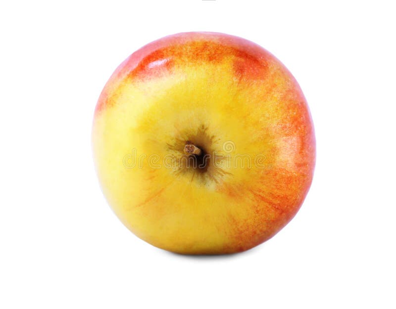 Um único close-up da maçã Uma maçã saboroso e crocante, isolada em um fundo branco A multi-colored healthful apple imagens de stock royalty free Um único close-up da maçã Uma maçã saboroso e crocante, isolada em um fundo branco A multi-colored healthful apple imagens de stock royalty free