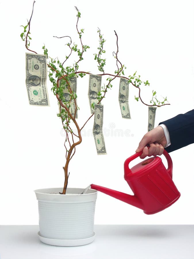 dinheiro-árvore-vaso-regador-homem