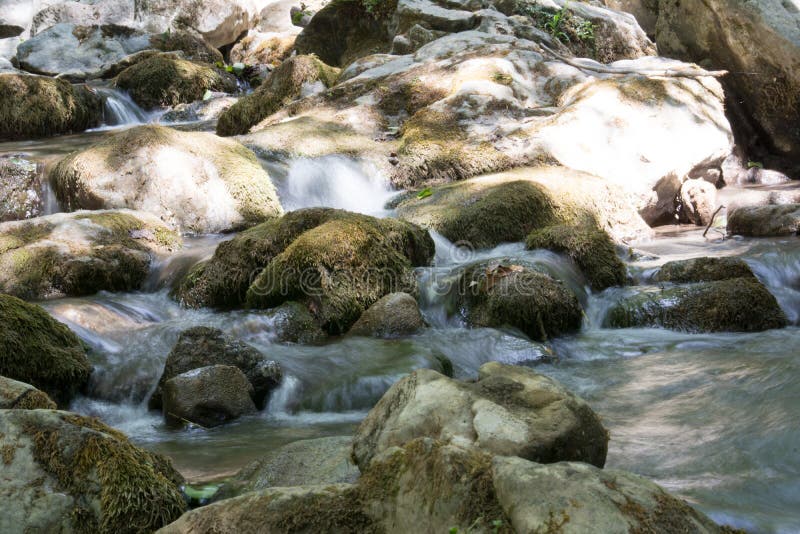 Uma angra nas madeiras imagens de stock royalty free