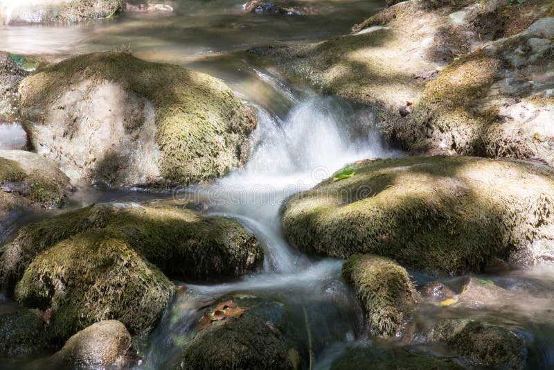 Uma angra nas madeiras fotos de stock royalty free