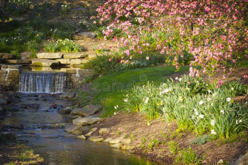 Uma cachoeira delicada que entra em um córrego com mola cor-de-rosa floresce foto de stock Uma cachoeira delicada que entra em um córrego com mola cor-de-rosa floresce foto de stock