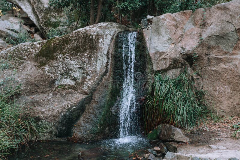 Uma cachoeira pequena imergiu na primavera árvores do verde fotos de stock Uma cachoeira pequena imergiu na primavera árvores do verde fotos de stock