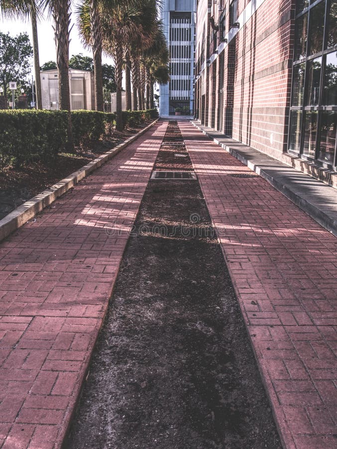 Uma caminhada lateral na baixa imagens de stock royalty free Uma caminhada lateral na baixa imagens de stock royalty free