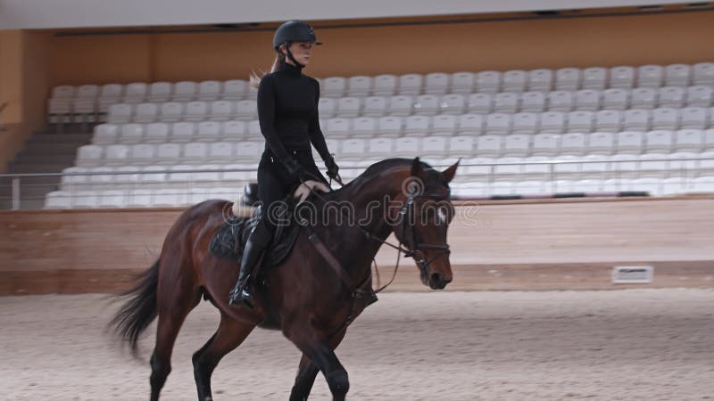 Mulher Cavaleira Cavalgando a Cavalo Marrom E Pulando a Cerca Na Arena De  Sandy Parkour Aperfeiçoamento Profissional Competitivo Imagem de Stock -  Imagem de fêmea, marrom: 165294797