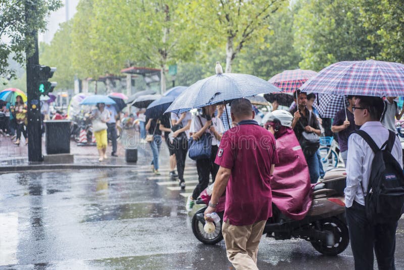 Uma chuva na manhã, pessoa que vai trabalhar cruzou a interseção com um guarda-chuva Uma chuva na manhã, pessoa que vai trabalhar cruzou a interseção com um guarda-chuva
