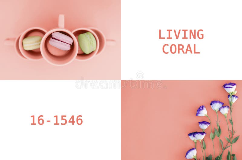 Uma colagem das fotos na cor que vive em 2019 o coral foto de stock royalty free Uma colagem das fotos na cor que vive em 2019 o coral foto de stock royalty free