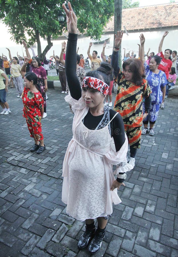 Uma dona de casa segue a ginástica maciça fotografia de stock