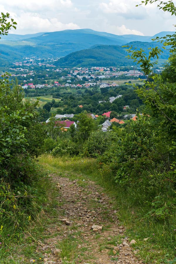 Uma estrada de terra que conduz para baixo à vila Nos lados de arvoredos grossos fotos de stock Uma estrada de terra que conduz para baixo à vila Nos lados de arvoredos grossos fotos de stock