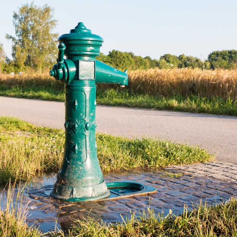 Uma fonte bebendo verde em uma grama em Alemanha do sul fotografia de stock Uma fonte bebendo verde em uma grama em Alemanha do sul fotografia de stock