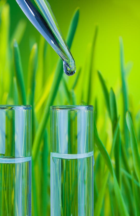 Test tubes filled with clean water with fresh spring green grass on background and new drop from dropper. Test tubes filled with clean water with fresh spring green grass on background and new drop from dropper