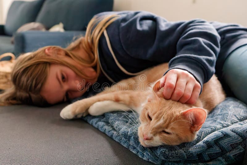 Gatinhos fofos participando de um jogo dentro do forte de cobertores  enquanto desfrutam de seu esconderijo confortável