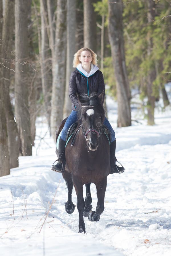 Uma jovem mulher da floresta A do inverno no revestimento morno que monta um cavalo preto na terra nevado imagens de stock Uma jovem mulher da floresta A do inverno no revestimento morno que monta um cavalo preto na terra nevado imagens de stock