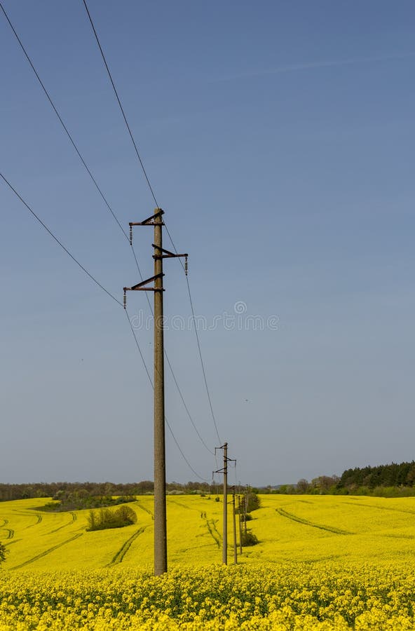 Uma linha de polos elétricos com cabos da eletricidade em um campo da violação com uma floresta no fundo fotografia de stock Uma linha de polos elétricos com cabos da eletricidade em um campo da violação com uma floresta no fundo fotografia de stock