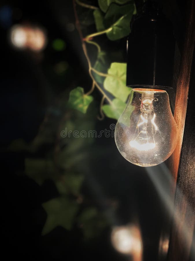 Uma lâmpada incandescente em um cartucho preto que pendura na rua contra um fundo das folhas na noite fotos de stock Uma lâmpada incandescente em um cartucho preto que pendura na rua contra um fundo das folhas na noite fotos de stock