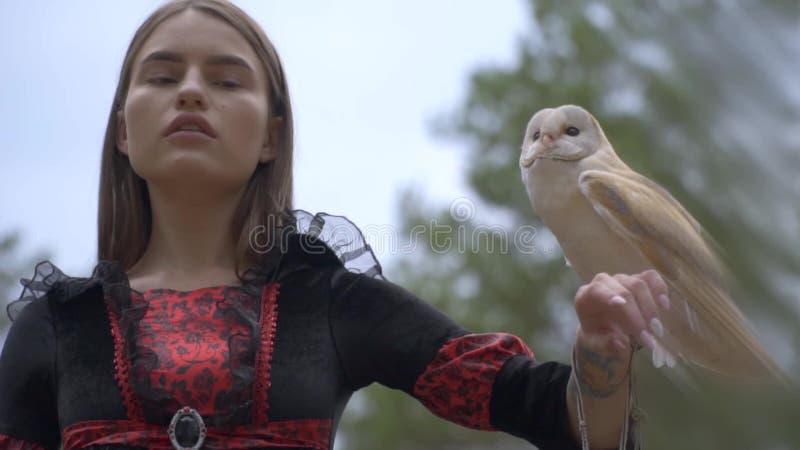 Uma menina em um vestido na floresta olha a coruja que se senta em seu braço, a menina em seu braço é tatuagem, movimento lento