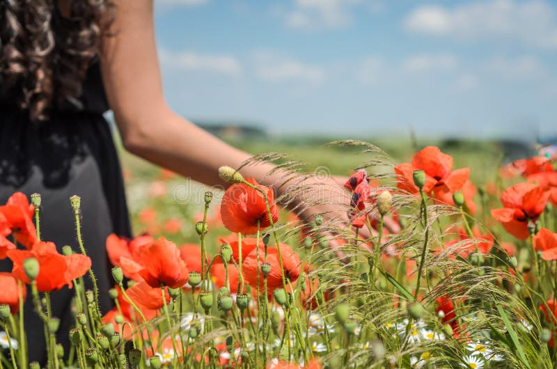 Uma menina em um vestido preto está andando ao longo do campo com papoilas em um dia ensolarado brilhante imagem de stock Uma menina em um vestido preto está andando ao longo do campo com papoilas em um dia ensolarado brilhante imagem de stock