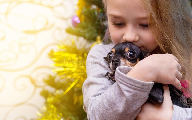 Uma menina está beijando um cão foto de stock Uma menina está beijando um cão foto de stock