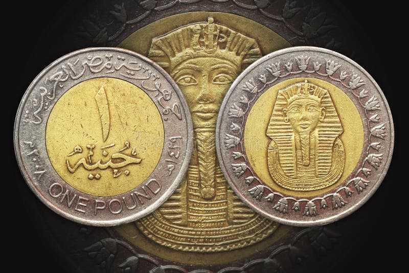 Uma Moeda Do Bimetal De Egito Da Libra Foto de Stock Imagem de metal