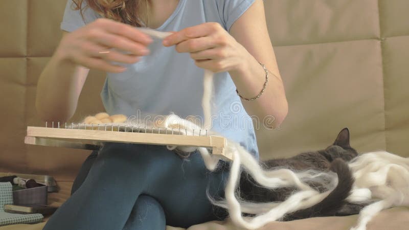 Uma mulher tece em um tear um bordado bonito feito do fio, em um estúdio home, o gato está próximo video estoque Uma mulher tece em um tear um bordado bonito feito do fio, em um estúdio home, o gato está próximo video estoque