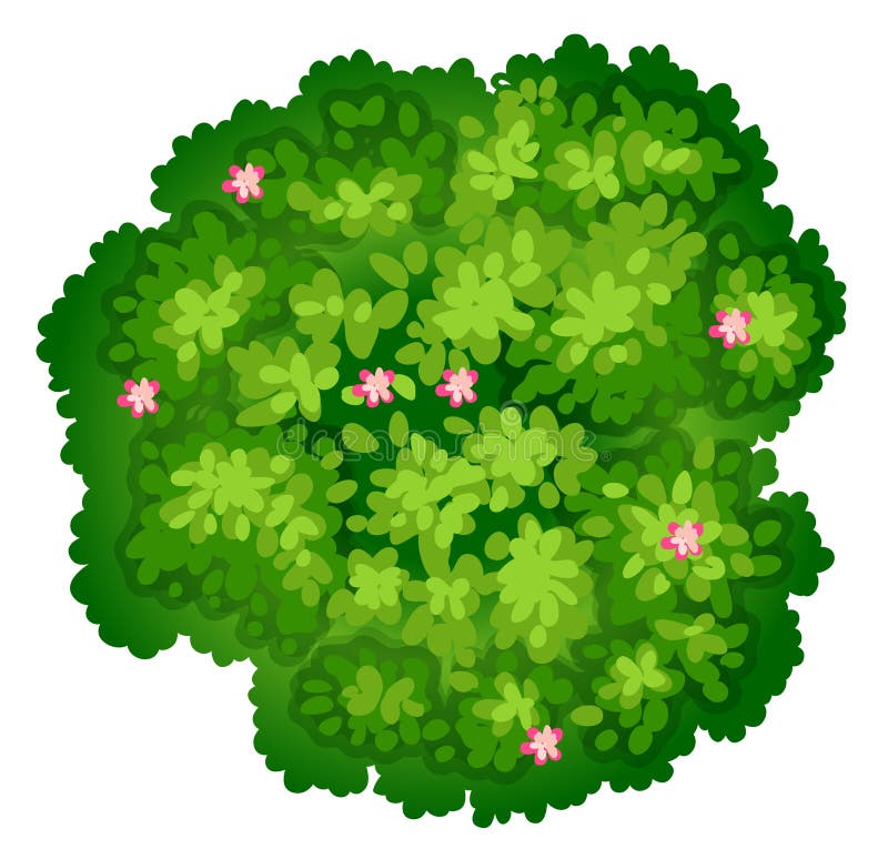 Uma opinião do birdeye de uma planta ilustração do vetor Uma opinião do birdeye de uma planta ilustração do vetor