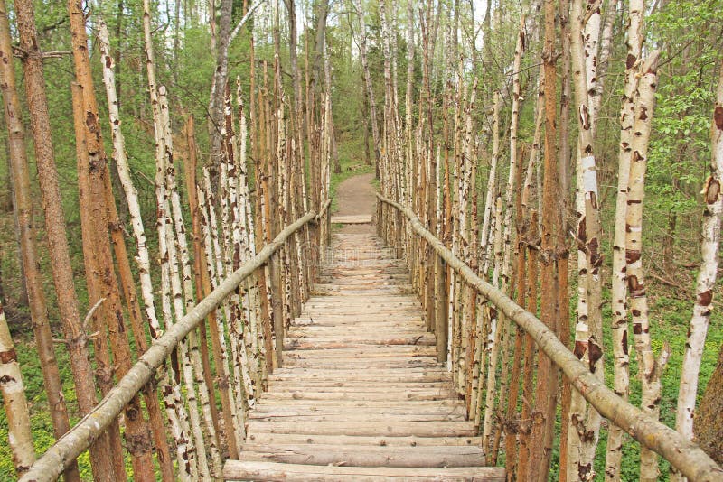 Uma ponte pequena de árvores de vidoeiro reais Art Park Nikola Lenivets, Ru foto de stock Uma ponte pequena de árvores de vidoeiro reais Art Park Nikola Lenivets, Ru foto de stock