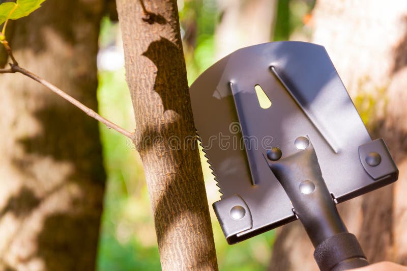 Uma pá pequena do turista, que um homem realize em sua mão na floresta foto de stock Uma pá pequena do turista, que um homem realize em sua mão na floresta foto de stock