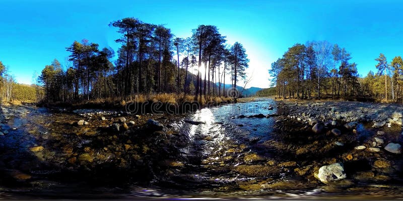 Uma realidade virtual de 360 VR do montanhas, floresta do pinho e rio selvagens flui Raios do parque nacional, do prado e do sol