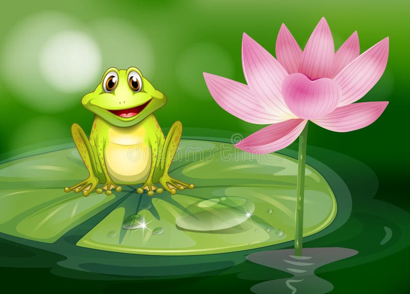 Uma rã ao lado da flor cor-de-rosa na lagoa ilustração do vetor Uma rã ao lado da flor cor-de-rosa na lagoa ilustração do vetor