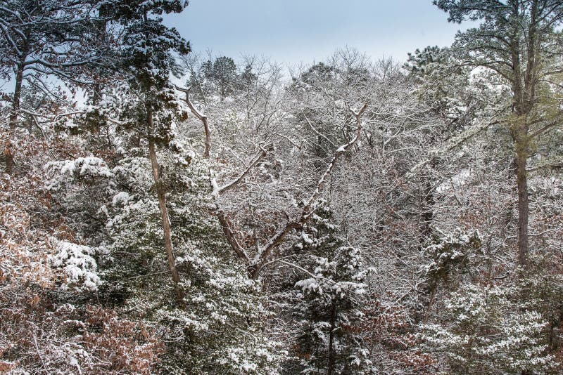 Uma tarde nevado foto de stock royalty free Uma tarde nevado foto de stock royalty free