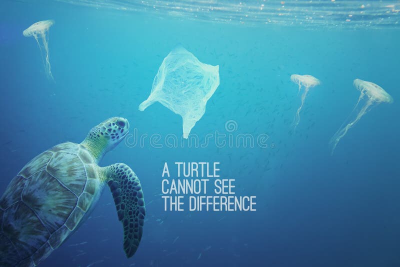 Uma tartaruga marinha vai comer um saco plástico.