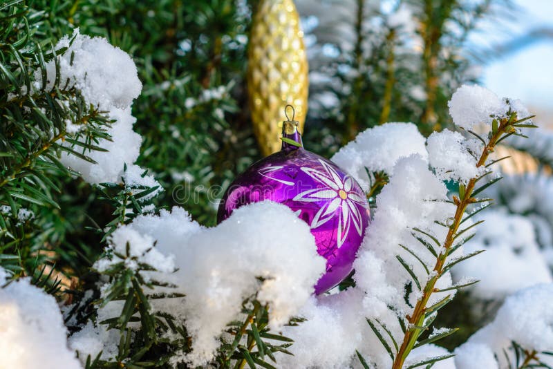 Ramo Da Árvore De Natal Sufocado Com Uma Queda De Neve. Fundo Do