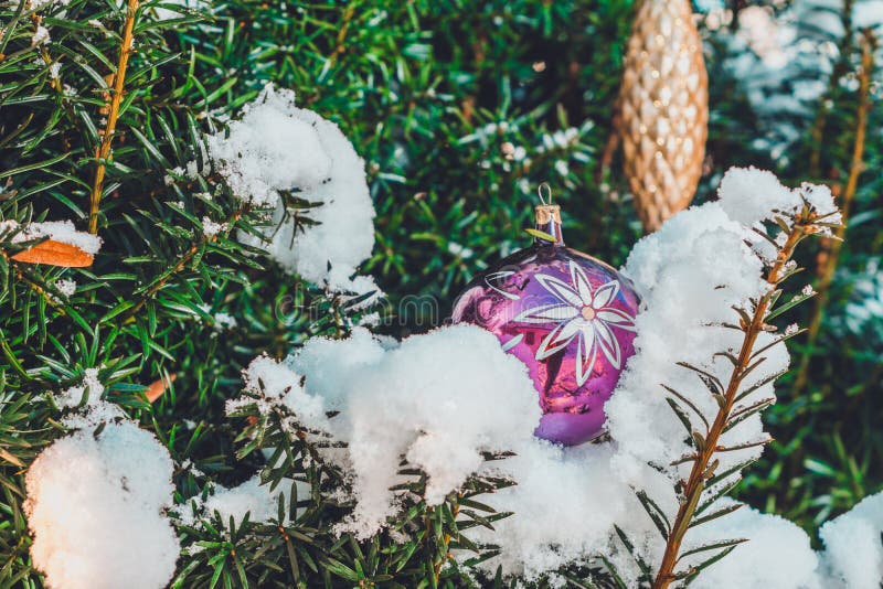 Ramo Da Árvore De Natal Sufocado Com Uma Queda De Neve. Fundo Do