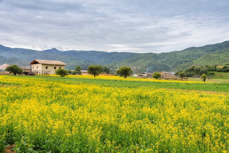 Uma vila bonita fotografia de stock