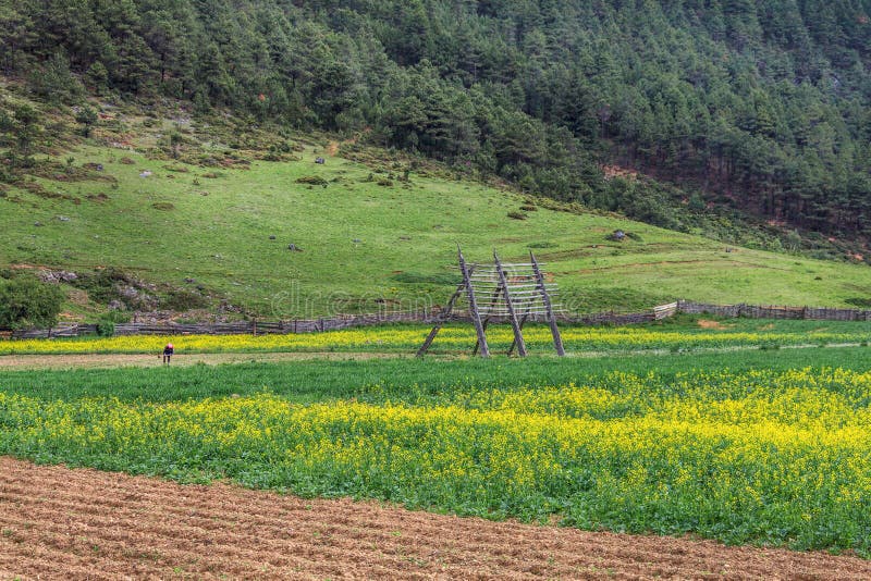 Uma vila bonita foto de stock royalty free