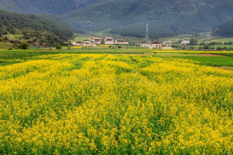 Uma vila bonita imagem de stock