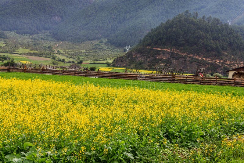 Uma vila bonita foto de stock