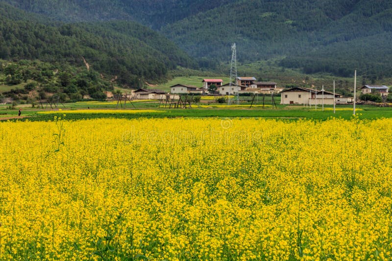 Uma vila bonita fotos de stock
