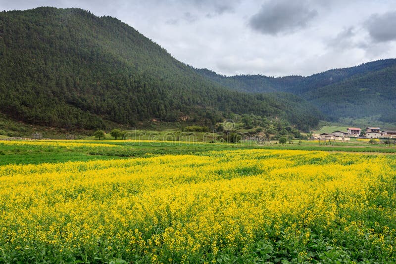 Uma vila bonita imagem de stock