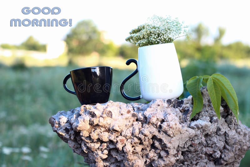 Uma Xícara Preta E Branca Sobre Uma Pedra Grande Na Natureza. Copo Com  Flores. Bom Dia. Boa Noite. Preto E Branco Foto de Stock - Imagem de  cobblestona, capuccino: 191402998