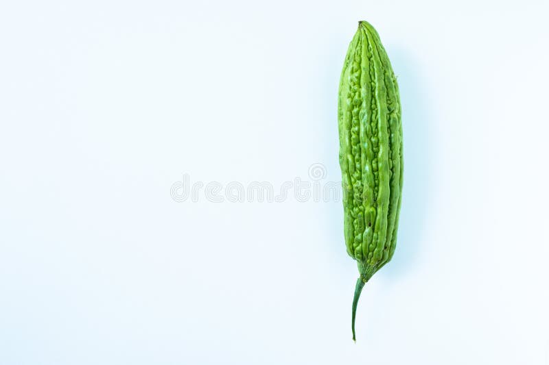 Uma única melão amargo grande, fresco e verde imagem de stock royalty free