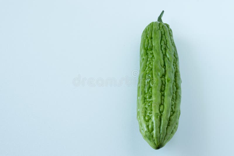 Uma única melão amargo grande, fresco e verde imagens de stock royalty free