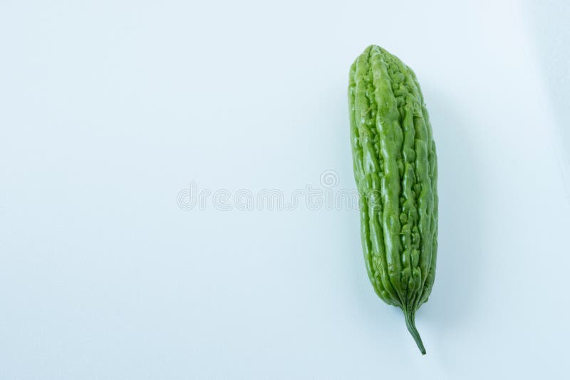 Uma única melão amargo grande, fresco e verde foto de stock royalty free