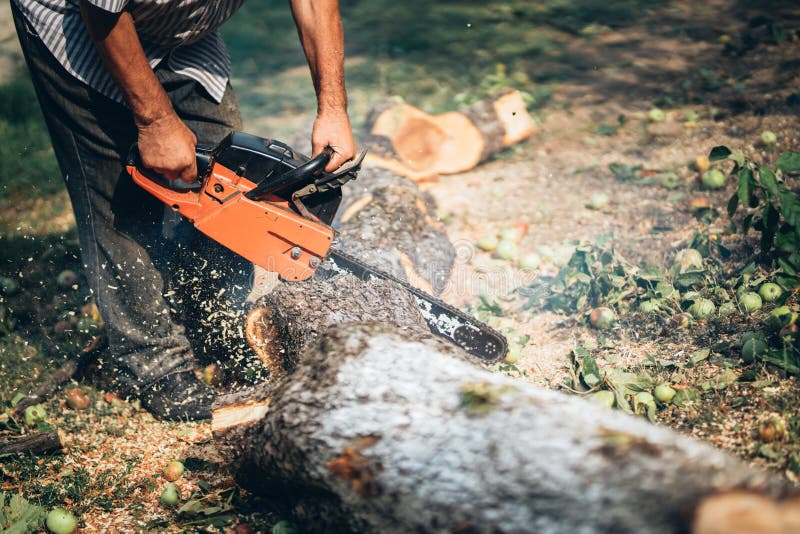 Umberjack cutting tree in the garden with gasoline chainsaw. splinters in different directions. Portrait of lumberjack cutting tree in the garden with gasoline stock image Umberjack cutting tree in the garden with gasoline chainsaw. splinters in different directions. Portrait of lumberjack cutting tree in the garden with gasoline stock image