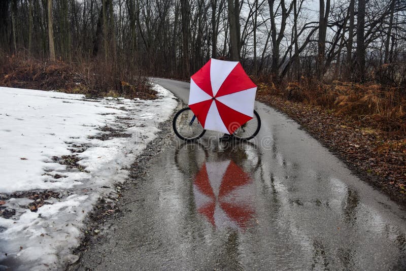 Umbrella and Bike Reflecting in the Water