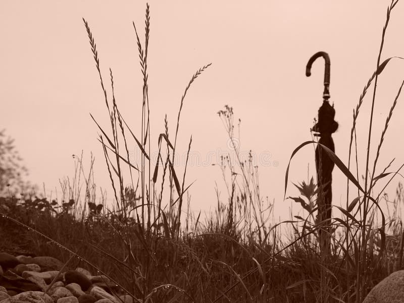 Umbrella on hill